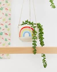 Rainbow Hanging Planter